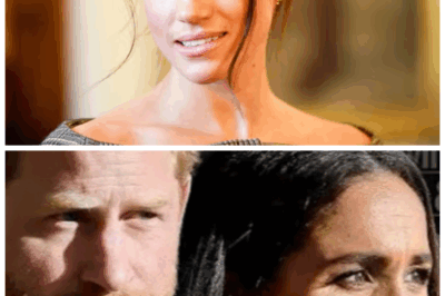 🐘 “ROYAL HOUSE OF CARDS: A ‘BOMB’ of Revelation Looms Over The Crown as Harry’s Web of Lies is Exposed 😱” Brace yourselves — the seemingly untouchable façade of the palace is about to crumble under the weight of turbulent secrets, and Prince Harry, Duke of Sussex may be the centre of it all as reports surface that his recent so‑called “courtesy” trip to Canada was anything but routine. The whispers say the palace wasn’t notified, his team allegedly misled officials, and now the storm is gathering. “Trust built on shadows never lasts,” they mutter behind the gilded doors of the Firm. 👇