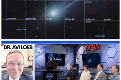 🐘 Avi Loeb’s EXPLOSIVE ACCUSATION: NASA Overlooked the GIANT Secret of 3I/ATLAS—And the Consequences Could Be Catastrophic! 🏔️ In a jaw-dropping revelation, Avi Loeb blasts NASA for ignoring the colossal size of 3I/ATLAS, suggesting this oversight could unleash a cosmic disaster that no one saw coming. “When you miss something this big, the fallout is even bigger.” 👇