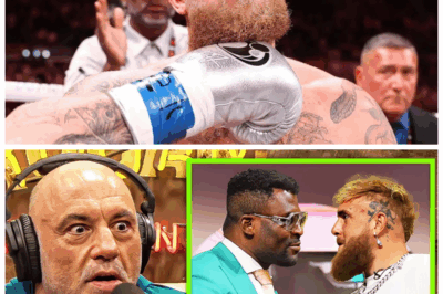 🐘 “Joe Rogan BLOWN AWAY by Jake Paul vs. Francis Ngannou—‘This Is Going to Be Insane!’” 💥😱 “In an explosive reaction, Joe Rogan expressed his disbelief over the news that Jake Paul would step into the ring with Francis Ngannou. ‘This is f*cking crazy!’ Rogan shouted, and for good reason—Paul has been calling out MMA heavyweights, but does he really stand a chance against Ngannou’s lethal knockout power?”