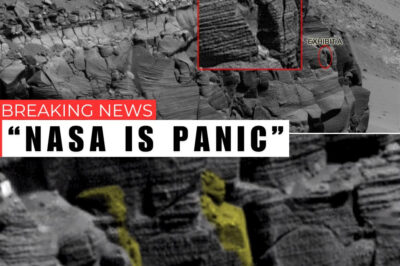 Uncover the mystery of an alleged Ancient Egyptian sarcophagus on Mars, as claimed by a YouTube conspiracy theorist based on NASA pH๏τos