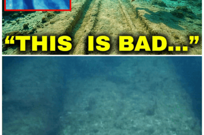 Unveiling Malta’s Cart Ruts: The Shocking Truth Behind These Ancient Grooves That Have Left Scientists Baffled for Centuries! 🌍🔍