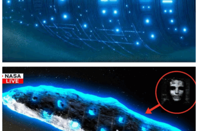 NASA’s “Most Terrifying Discovery” — 3I/ATLAS Is Carrying ALIEN LIFE, And It’s Heading STRAIGHT For Earth! 👽 Hold onto your seats, because NASA’s latest discovery has sparked an intergalactic panic! The James Webb Telescope has detected something that could change EVERYTHING. 3I/ATLAS isn’t just a cosmic traveler—IT’S CARRYING LIFE! And guess what? It’s heading right toward Earth. Is this the end of us, or the start of a new chapter in human history? Prepare for the truth to shake the world!👇