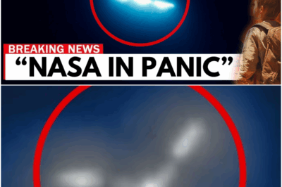 Voyager 2 just turned back and what it discovered JUST STOPPED THE WORLD