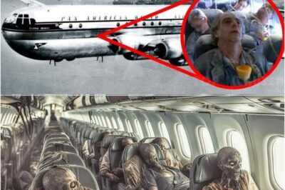 The Plane That Returned After 3,700 Years – An Ancient Anomaly Defying Time