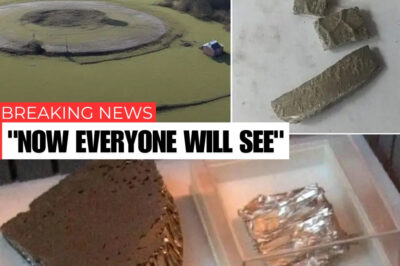 The Welsh Roswell: Remains of a UFO Of Extraterrestrial Origin In 1983