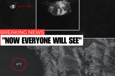 Alien spacecraft spotted on surface of the moon