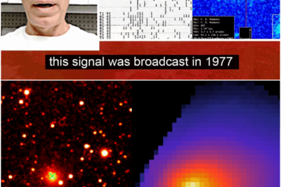 3I/ATLAS Now Flashing Morse Code…What It Says Is Terrifying
