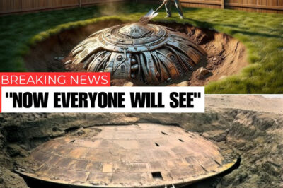 A UFO Has Fallen to Earth