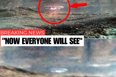 Mysterious Blinking UFO Touches Down in Jordan’s Wadi Rum Desert