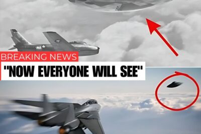 The Astonishing Japan Airlines Flight 1628 UFO Encounter: A Terrifying Tale