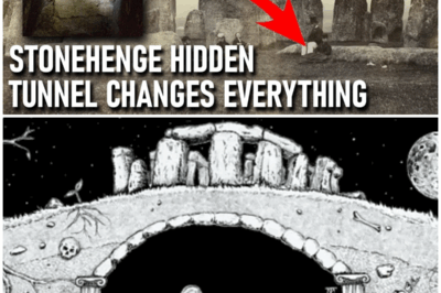 What’s Inside the Newly Discovered Chamber Under Stonehenge? The Findings Could Alter Our Understanding of Ancient Civilizations!
