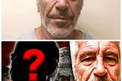 🐘 “BREAKING EXPLOSION IN THE CORRIDORS OF POWER: A Top Democrat Abruptly QUITS After Newly Unearthed Jeffrey Epstein Documents Rip the Lid Off A Decades‑Long Web of Silent Complicity 😲” In one of the most jaw‑dropping resignations of recent memory, a high‐ranking Democratic official announced their immediate departure this morning—as horrified staffers learned that fresh Epstein‑era files expose secret meetings, hush‑money whispered threats, and loyalty that stretched far beyond political calculation. “Well, that took exactly zero good judgment,” they mutter in the back hallways of power, as the tremors spread through the party. 👇