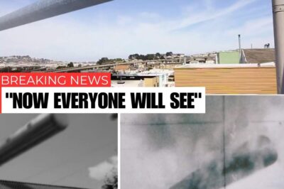 Uncover the mystery behind the cylindrical UFOs that have made past appearances, with the most recent sighting in 2000. Could these strange objects be traveling through time, re-emerging in the present day?