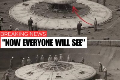 BREAKING NEWS: They Found a Chest in an Old Tomb — What Was Inside Could Rewrite UFO History