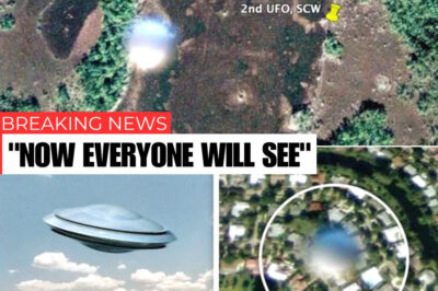 An alien hunter claims Google Maps images are “100% proof” of UFOs hovering over Florida, reigniting conspiracy theories worldwide.