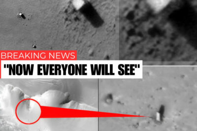 This rocky Mars “monolith” caused a storm when it appeared to show evidence there was once life on the Red Planet.