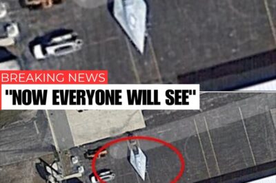 Google Earth Reveals Enigmatic UFO: Speculations of Alien Technology Stir Excitement, Captured in Jaw-Dropping Video Footage