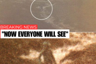 Mystery Of Ilkley Moor Alien Picture Taken By British Police Officer & Saw UFO In 1987