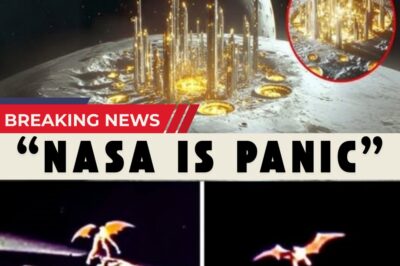 James Webb Telescope’s Latest Pluto Discovery CONFIRMS What We All Feared