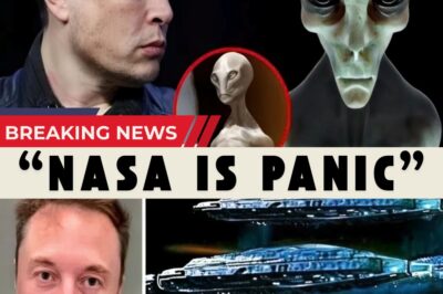 Elon Musk issues chilling warning about aliens — “They are coming and will take over our planet; humanity is in danger”