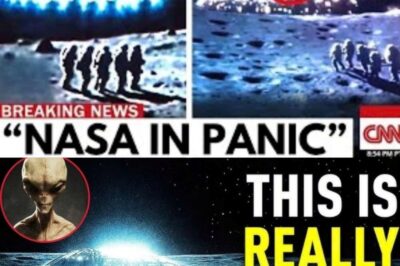 Elon Musk Issues Terrifying Warning: “They Are Coming — Humanity Is Out of Time!” NASA Confirms Alien Mothership Racing Toward Earth