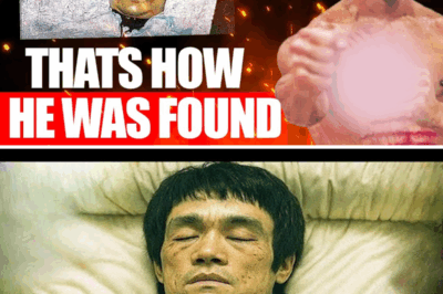 The Death Of Bruce Lee As They Never Told You