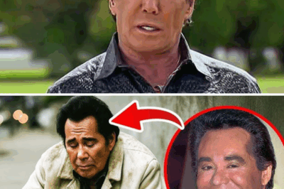 Wayne Newton Is Now 83, Take A Look at Him Now After Losing All His Money