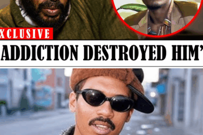 What Really Happened To Super Cat?