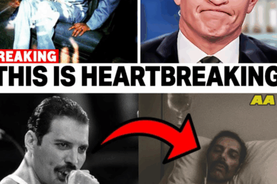 The Heartbreaking Confession Freddie Mercury Made When He Knew Time Was Running Out