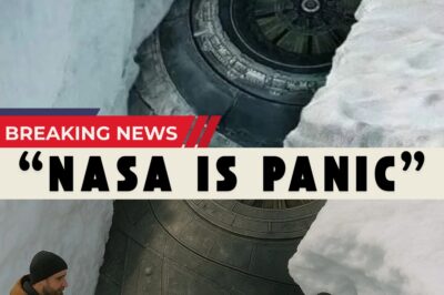 10,000-Year-Old Spacecraft Discovered Beneath Antarctica Leaves Scientists Around the World Stunned