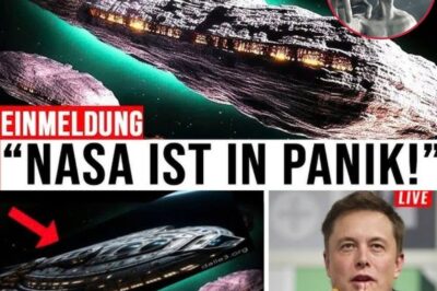 Elon Musk Issues Terrifying Warning: “They Are Coming — Humanity Is Out of Time!” NASA Confirms Alien Mothership Racing Toward Earth