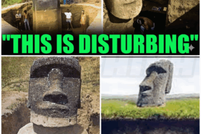 🐻 Archaeologists Just Uncovered What’s Beneath Easter Island — and It Defies Everything We Know