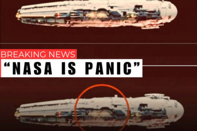 The James Webb Telescope Unveils Astonishing Evidence: A UFO Emerges Above the Skies of 3I/Atlas