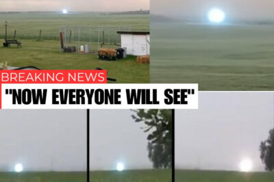 A huge glowing sphere appeared without warning over Alberta—residents watched in awe as it hovered, then vanished without a trace.