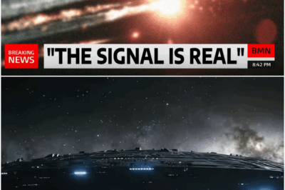 3I ATLAS’s Sent This Transmission and CONFIRMS what WE ALL FEARED