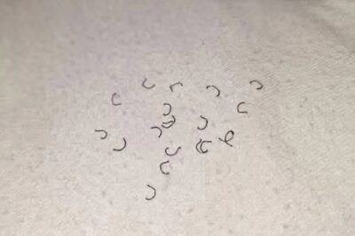 I woke up to find these all over my bed… and now I can’t stop thinking about them. 😳.