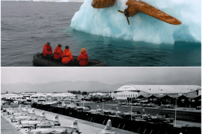 WW2 Plane Found Frozen in Iceberg, What Was Inside Left Everyone in Shock!