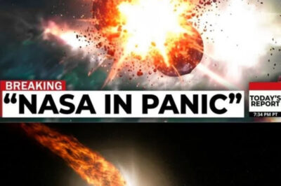 BREAKING COSMIC WARNING: Interstellar Object *3I/ATLAS* Is Warping the Sun’s Magnetic Field — Experts Fear Earth’s Defenses Are Collapsing Amid Unprecedented Energy Waves!
