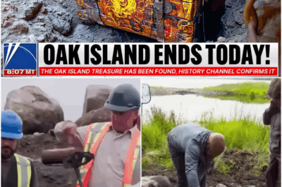 The Oak Island Treasure Has Been Found, History Channel Confirms It