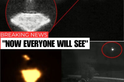 A strange, silent UFO hovered above the remote North Dakota farm, its eerie glow captured by a lone PTZ camera