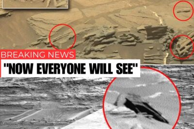 UFO theorists claim Stonehenge-style rocks on Mars are no coincidence—evidence, they say, of ancient alien architects mirroring Earth’s sacred sites