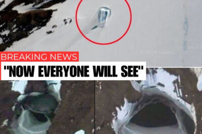 A strange ‘doorway’ carved into Antarctic ice on Google Maps has sparked wild theories of secret bases and ancient civilizations.