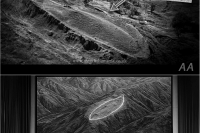 🌟 Shocking Discovery in Turkey: Could This Be the Legendary Noah’s Ark Hidden for Millennia? 🌙