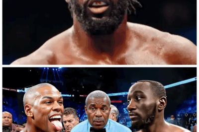 🐘 Terence Crawford SHUTS DOWN Arrogant Fighters—The Moments That Prove Why He’s Untouchable 🔥🥊: Terence Crawford has a way of making arrogant fighters pay the price for their overconfidence, with each victory more devastating than the last. “They underestimated him, and now they’re paying the price.” The knockout moments that sent cocky contenders back to the drawing board. 👇
