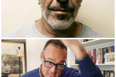 🐘The EPSTEIN Files Just BLEW OPEN💣 Chris Cillizza Exposes the Hidden Donors, Shadow Flights & the Powerful Figures Who Prayed This Would Never See Daylight — “Some Secrets Were Never Meant to Stay Buried.”  Insiders say the newest revelations trace back to financial trails scrubbed clean for years, suggesting Epstein’s circle was far wider and far darker than previously imagined as panic spreads through elite circles fearing what comes next👇