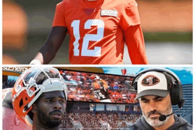 🐘🚨BROWNS IN FULL COLLAPSE🔥 Tickets Fall to $9 as Fans Launch Anti-Stefanski/Shedeur Sanders Boycott — The Outrage, The Stadium Exodus & The Message One Fan Says “Cleveland Should’ve Seen Coming.” 💥  Sources say the shocking ticket plunge has sent panic through the Browns front office as fans rage over coaching decisions, quarterback drama and a season spiraling into pure chaos👇