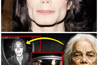 🐘 The Shocking Proof Michael Jackson Faked His Death – What They Found Changes Everything 🎤💀: The King of Pop may have pulled off the greatest hoax in history! After years of speculation, the truth has finally come to light. Unbelievable evidence has surfaced, suggesting that Michael Jackson didn’t die in 2009—he orchestrated his own disappearance. What was hidden in plain sight? The details will leave you speechless. “You won’t believe what they’ve found.” This discovery will change everything you thought you knew about his death. 👇