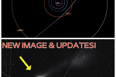 🐘 3I/ATLAS’s New Images Are Wild—A Mysterious Anti-Tail Appears, And Astronomers Are Stunned 🌠🚀: The latest images of 3I/ATLAS have just been released, and they’re nothing short of mind-blowing. A strange and unprecedented anti-tail has emerged, baffling scientists and leaving astronomers scrambling for answers. “What they’ve uncovered could change everything we thought we knew about space.” Prepare for a cosmic revelation that defies all logic. 👇