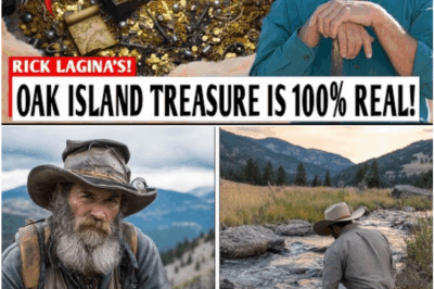 Oak Island Treasure Mystery Finally Verified—$95 Million in Gold and Artifacts Uncovered!
