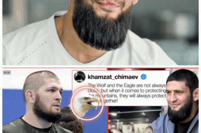 🐘 Khamzat Chimaev JUST Dropped An Unexpected CONFESSION! Khabib And Islam Are Planning A SUPER Fight! Jaw-Dropping Betrayal, Secret Alliances, and the Scandal That Could Explode the MMA World 💣 The MMA universe shakes as Khamzat Chimaev reveals a jaw-dropping confession, exposing secret alliances and a scandal that could explode into chaos with Khabib and Islam plotting a super fight. “Not every champion fights in the cage—some battle in the shadows.” 👇
